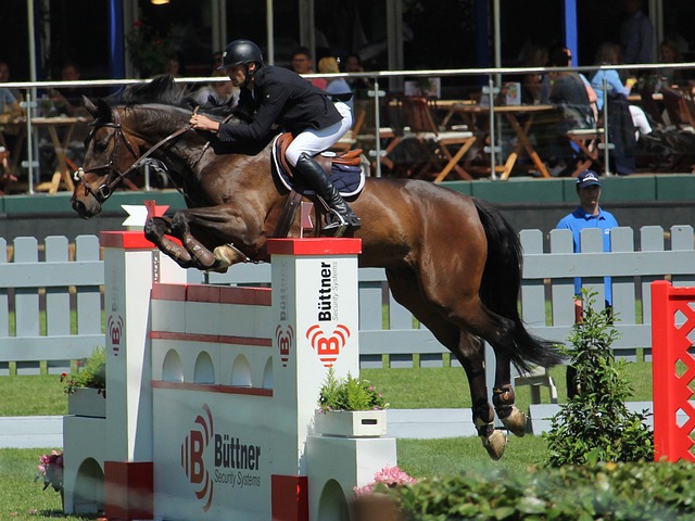 在全球范围 在全球范围