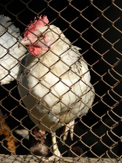 扭转赛季困 扭转赛季困